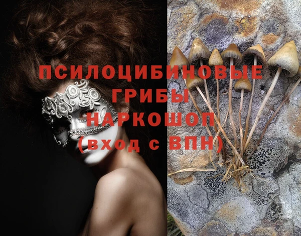 шишки Алексеевка