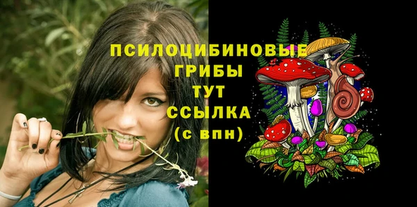 соль ск Абдулино