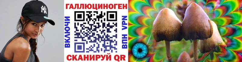 Псилоцибиновые грибы Magic Shrooms  Бакал 